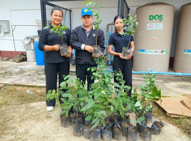 โครงการอาสาสมัครสหกรณ์ สหกรณ์การเกษตรเมืองขลุง จำกัด ... พารามิเตอร์รูปภาพ 9